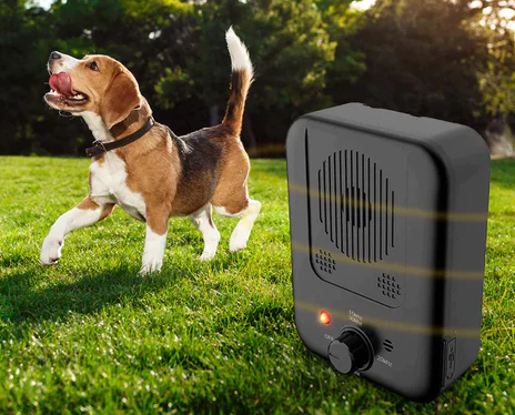 Anti Bark Device That Trains Your Dog