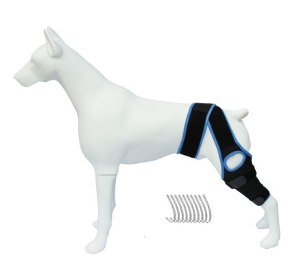 Dog Hip Knee Brace for Torn ACL