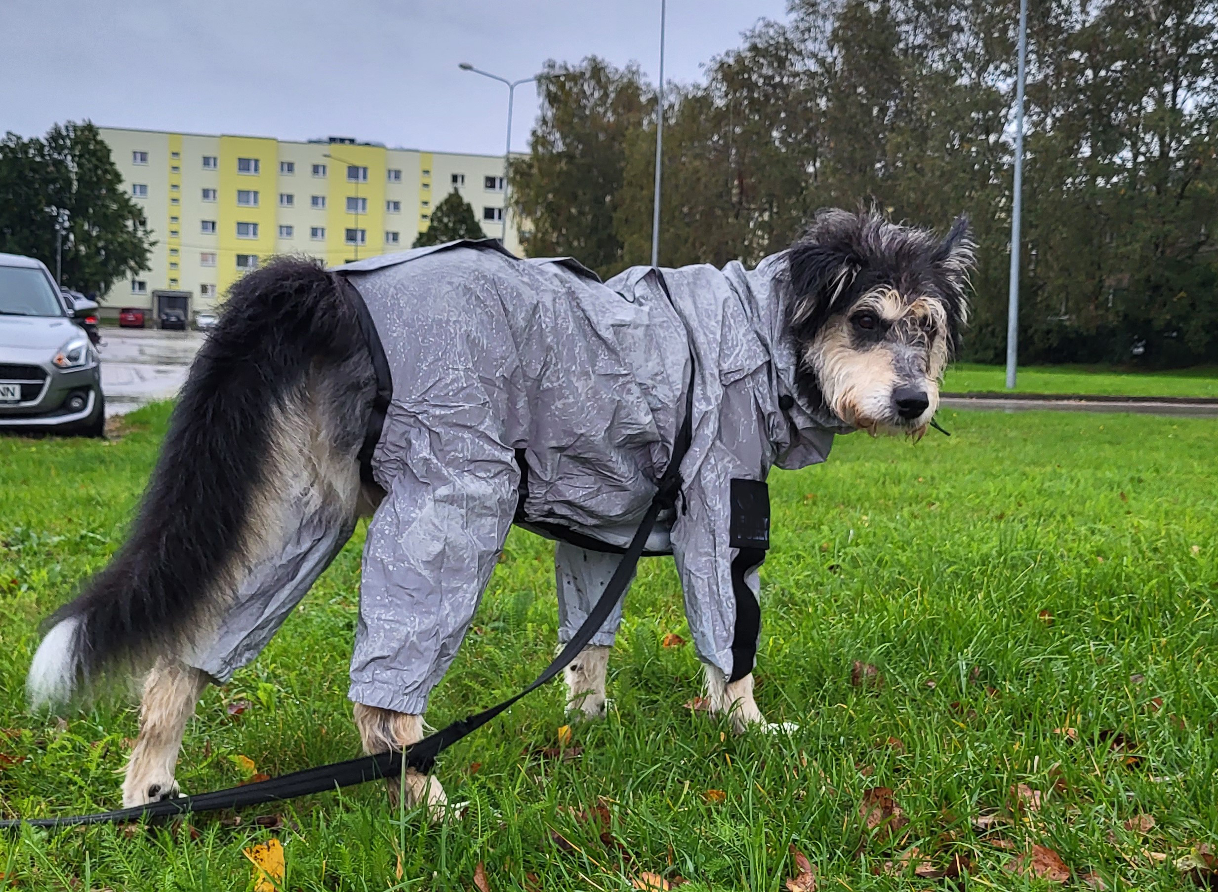 Reflective All-weather Waterproof Space Coat Dog Rain Coat