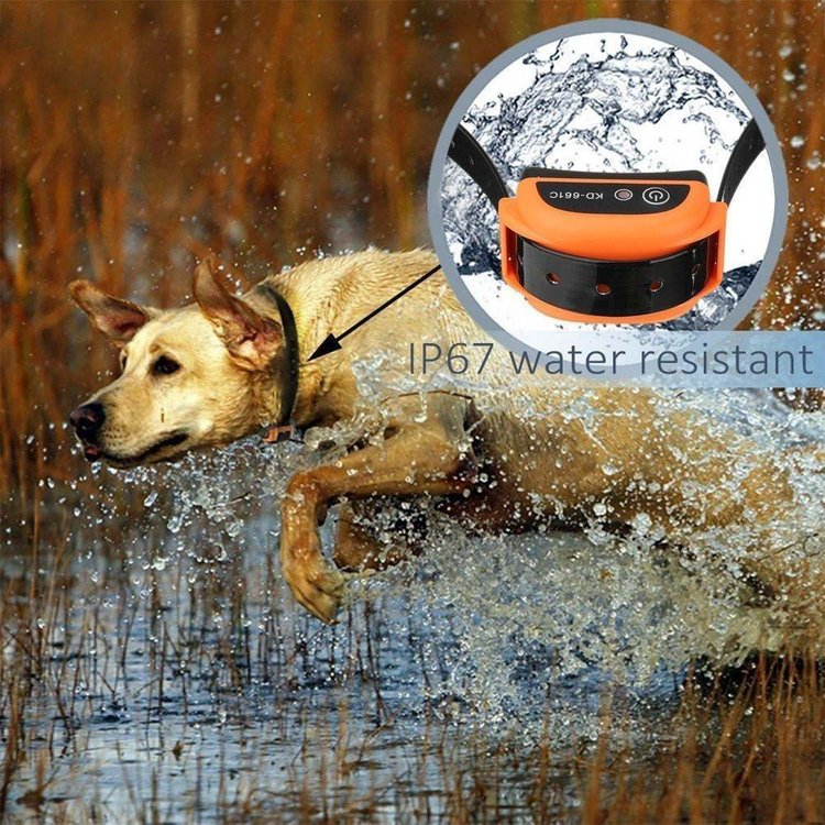 Wireless Electric Dog Fence With Shock Collar-gladdween