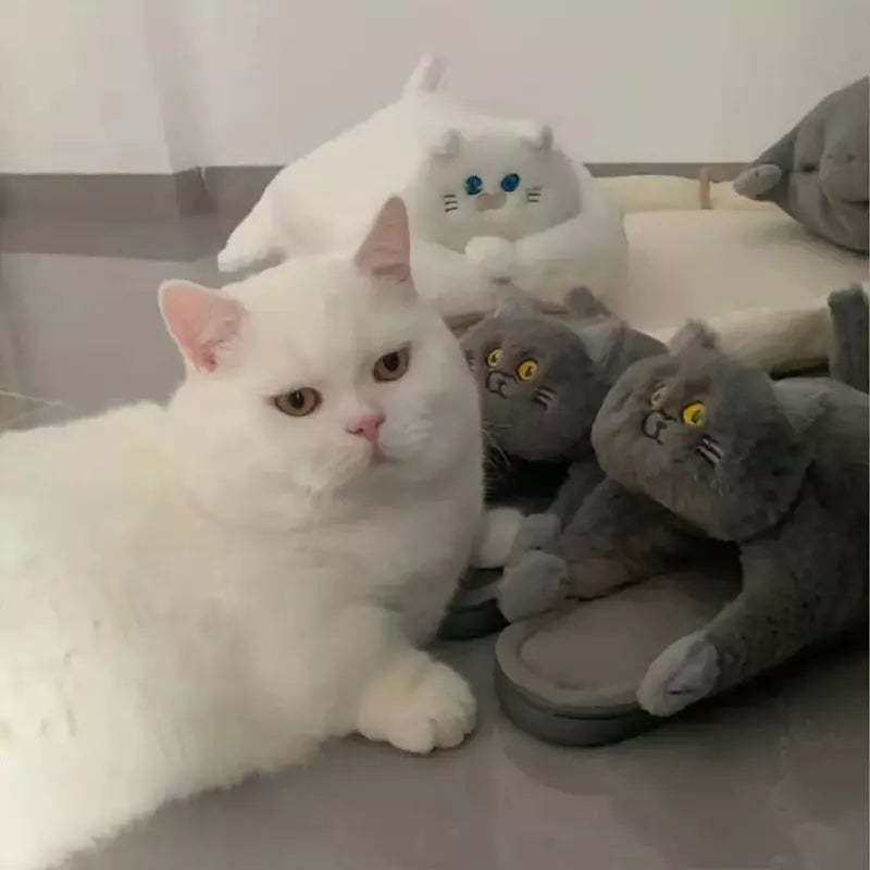 Unisex Home Slippers Indoor Warm Furry Anime Cats Slippers-gladdween