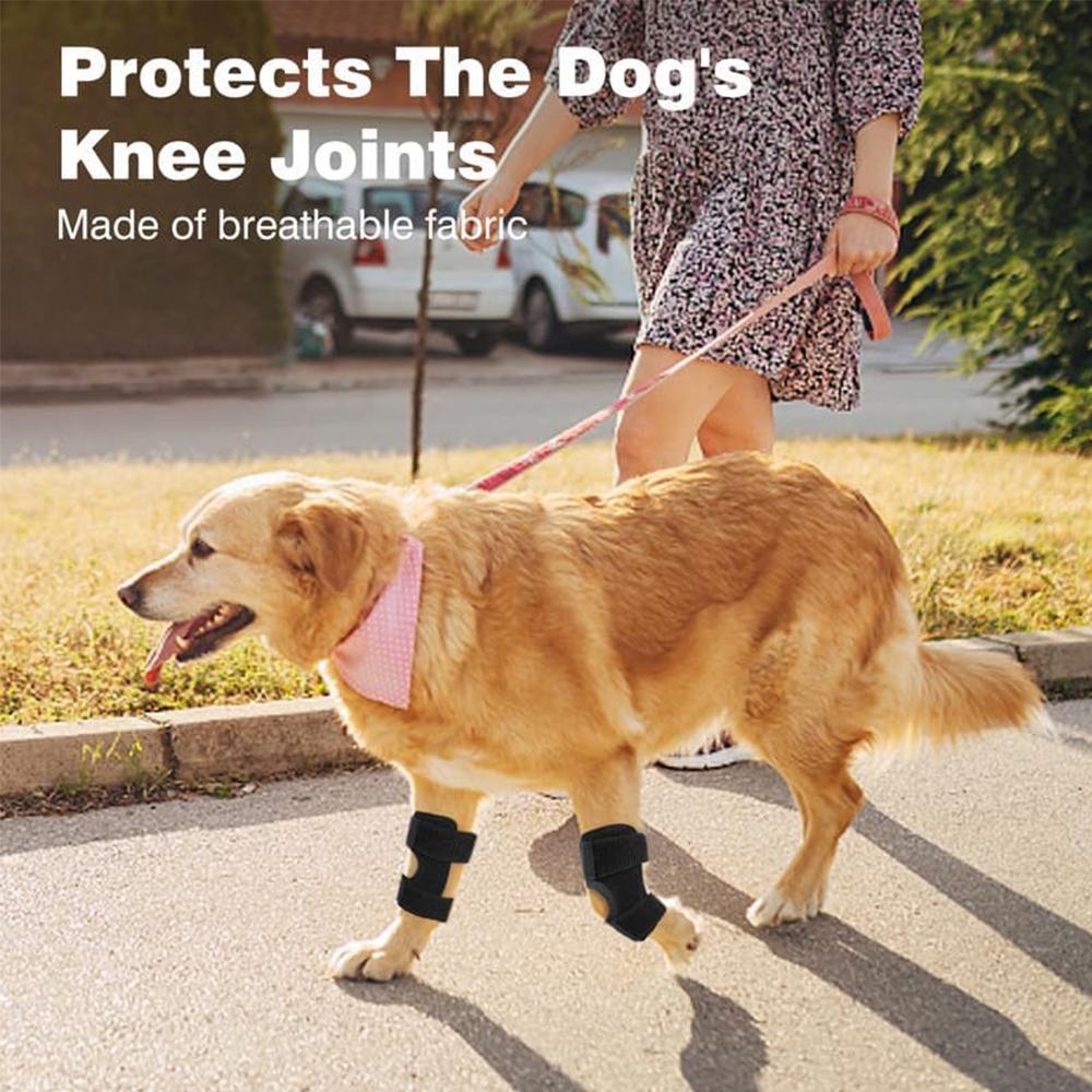 Dog Knee Brace Suitable for Recovery of Loss of Stability Caused by Arthritis
