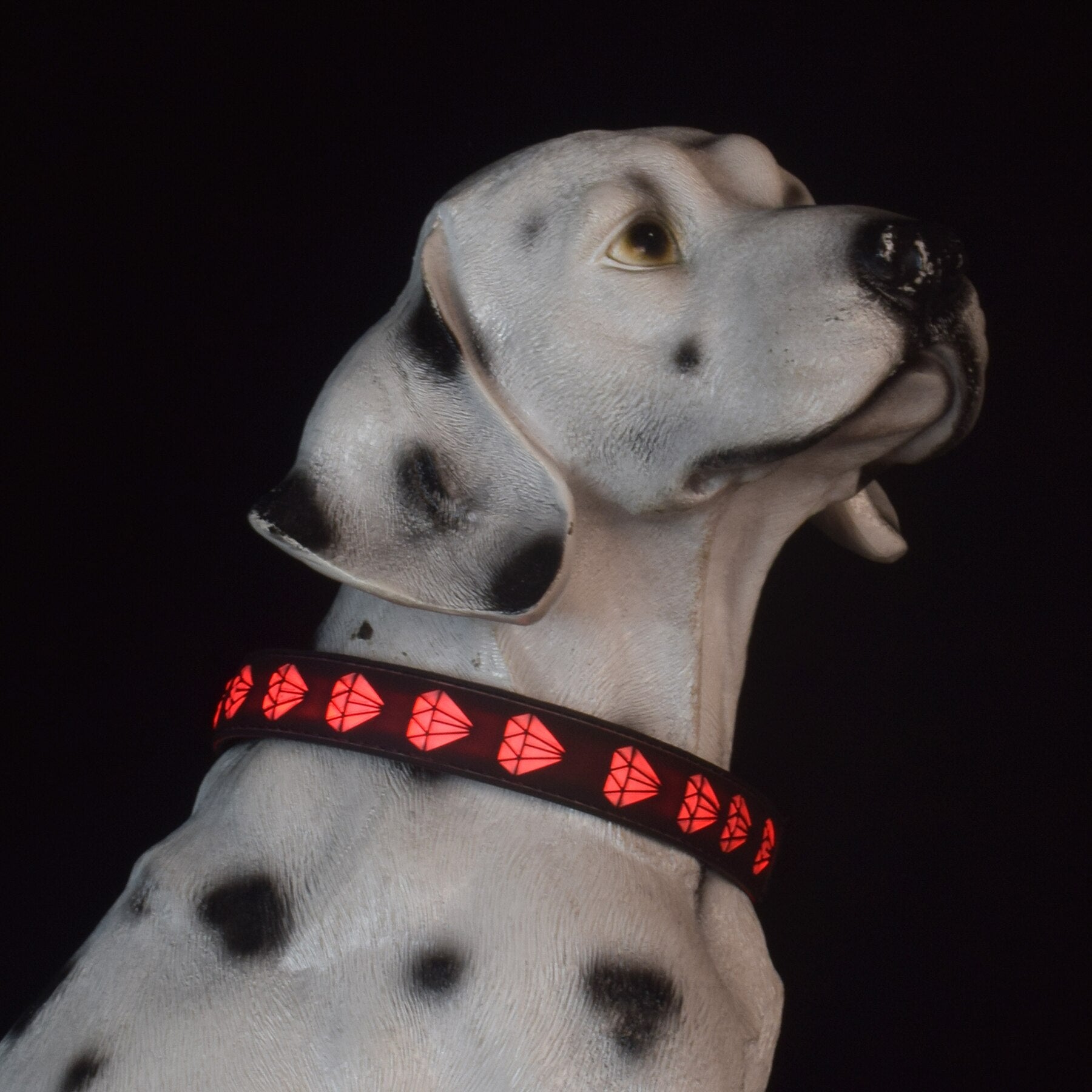 Usb Rechargeable Pet Dog Collars Eco friendly Nylon Adjustable-gladdween