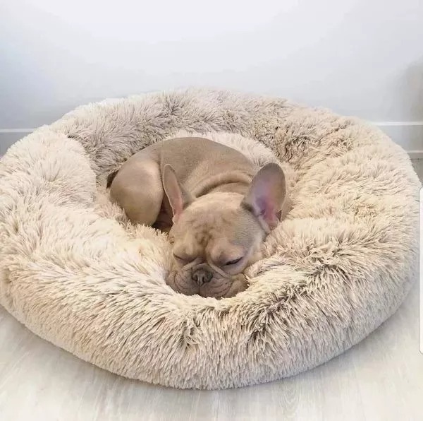 Dog Bed The Original Calming Dog Bed Super Comfy & Anti Anxiety Pet Bed Orthopedic Stress Relief Dog Bed Dog Pillow-gladdween