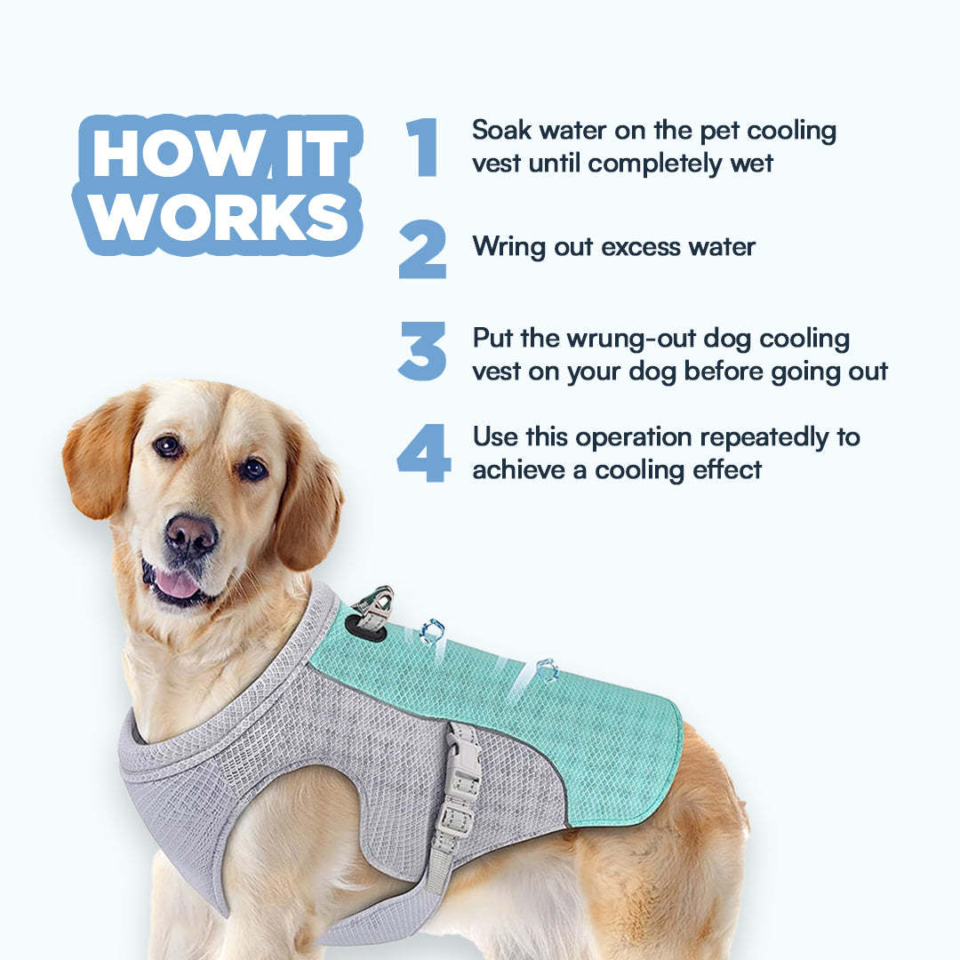 Gladdween™ Dog Cooling Vest