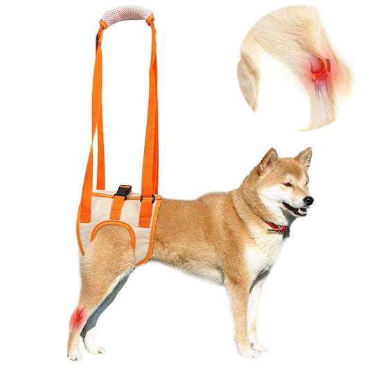 Dog Support Lift Harness for ACL Rehab & Arthritis-gladdween