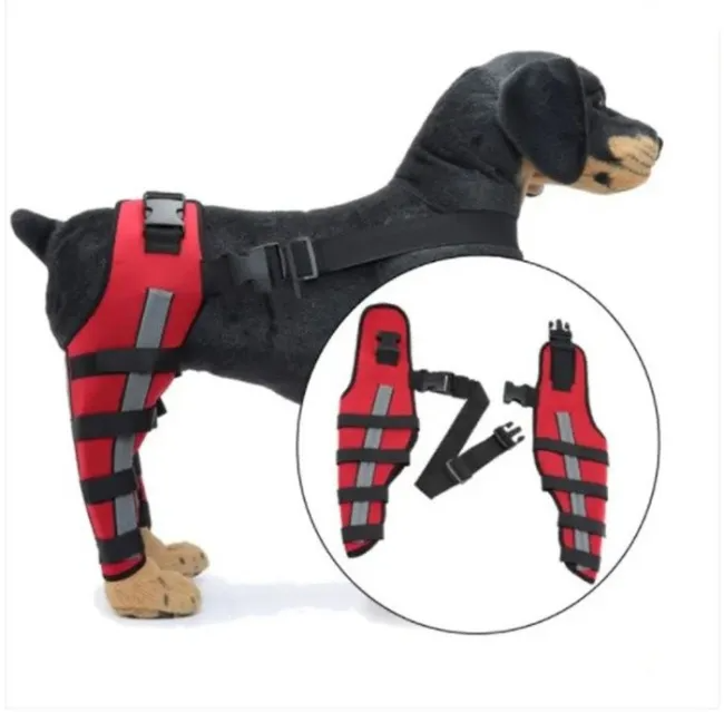 Double Dog Hip Support For Hip Dysplasia For Front or Back Leg Dog Brace