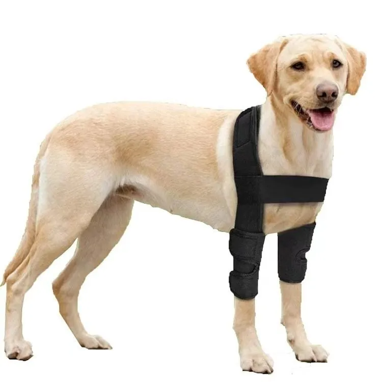 Double Dog Hip Support For Hip Dysplasia For Front or Back Leg Dog Brace