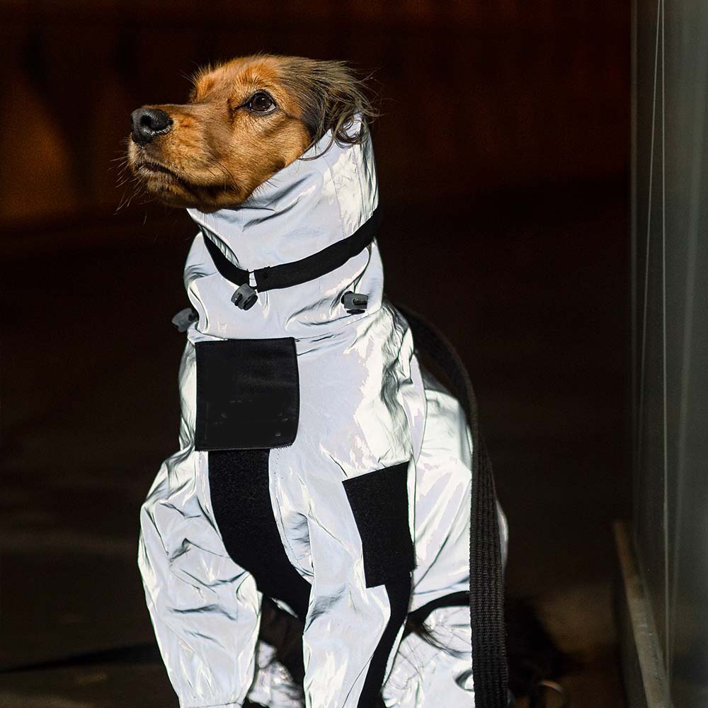 Reflective All-weather Waterproof Space Coat Dog Rain Coat