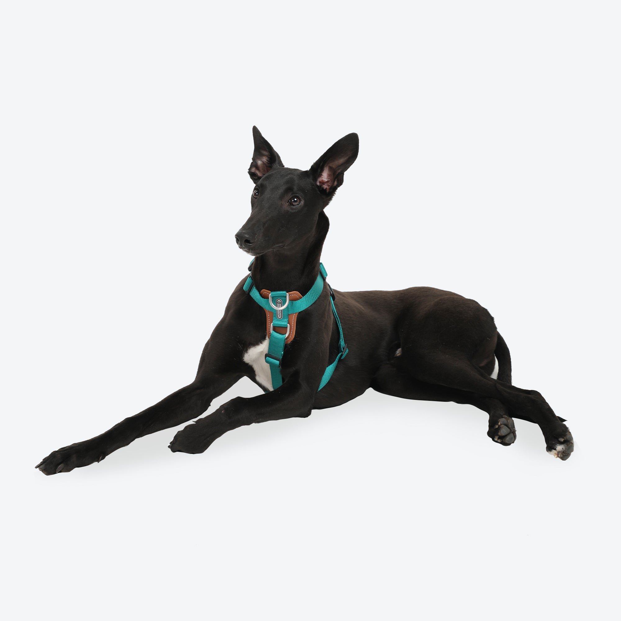 HiDream | Easy Walk Dog Harness