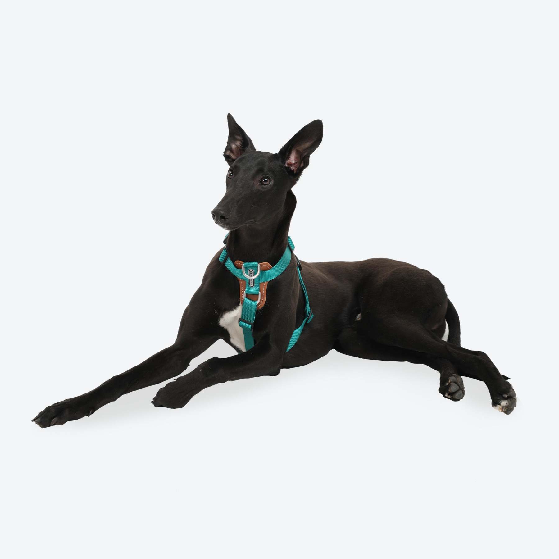 HiDream | Easy Walk Dog Harness