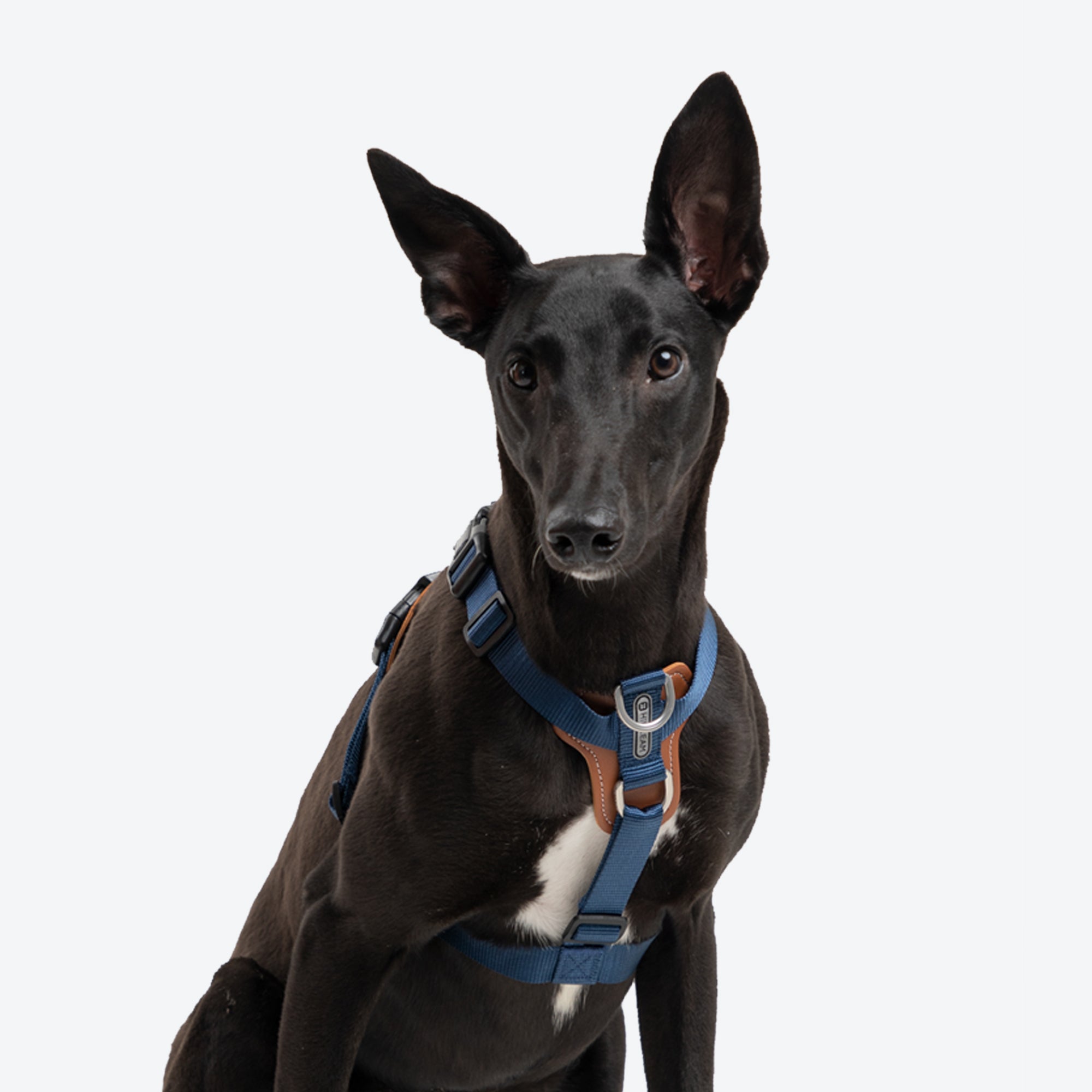 HiDream | Easy Walk Dog Harness