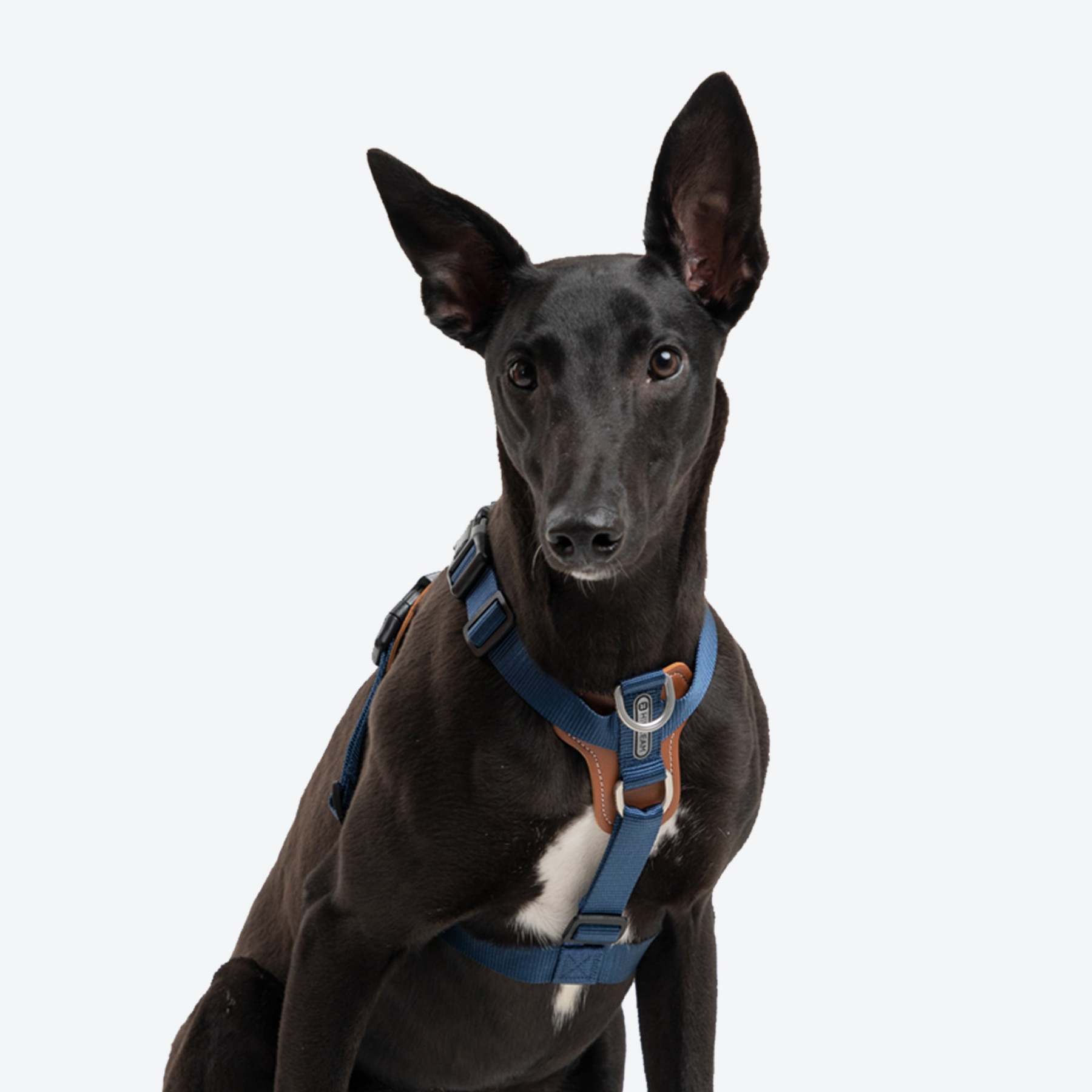 HiDream | Easy Walk Dog Harness