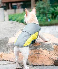 Summer Cooling Dog Jacket / Vest