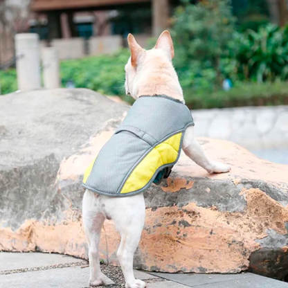Summer Cooling Dog Jacket / Vest