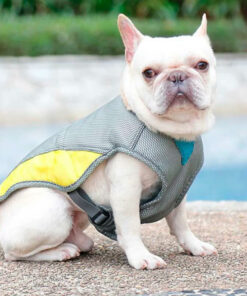 Summer Cooling Dog Jacket / Vest