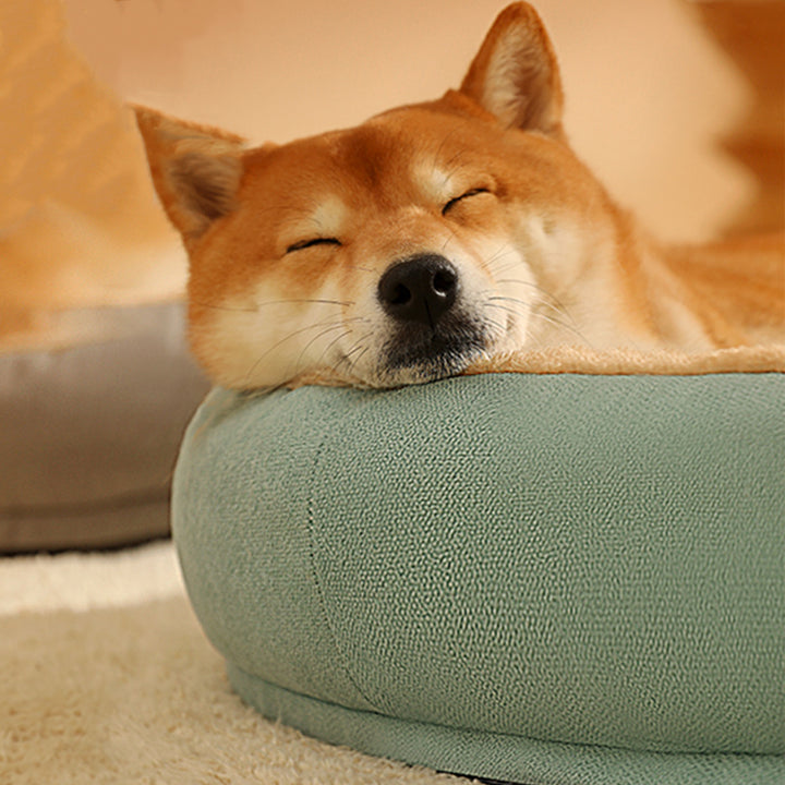 Dog Sofa Bed
