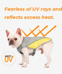 Summer Cooling Dog Jacket / Vest