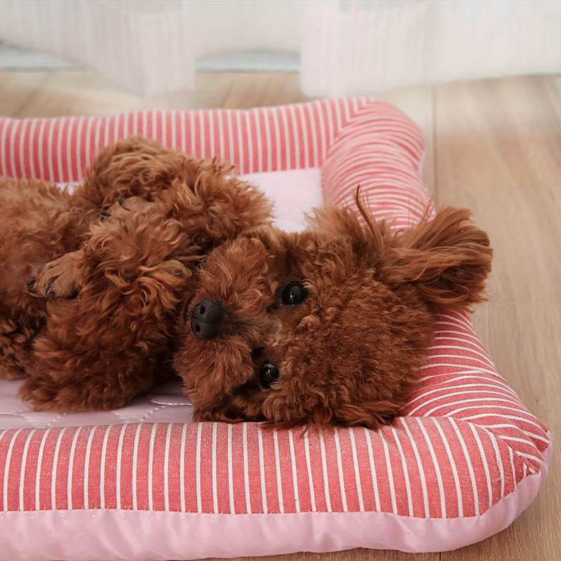 Summer Cooling Dog Mat Pet Cooling Pad