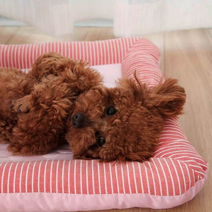 Summer Cooling Dog Mat Pet Cooling Pad