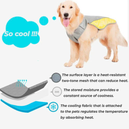 Cooling Dog Jacket Pet Cooling Vest for Summer