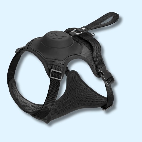 Dog Harness With Inbuilt Leash