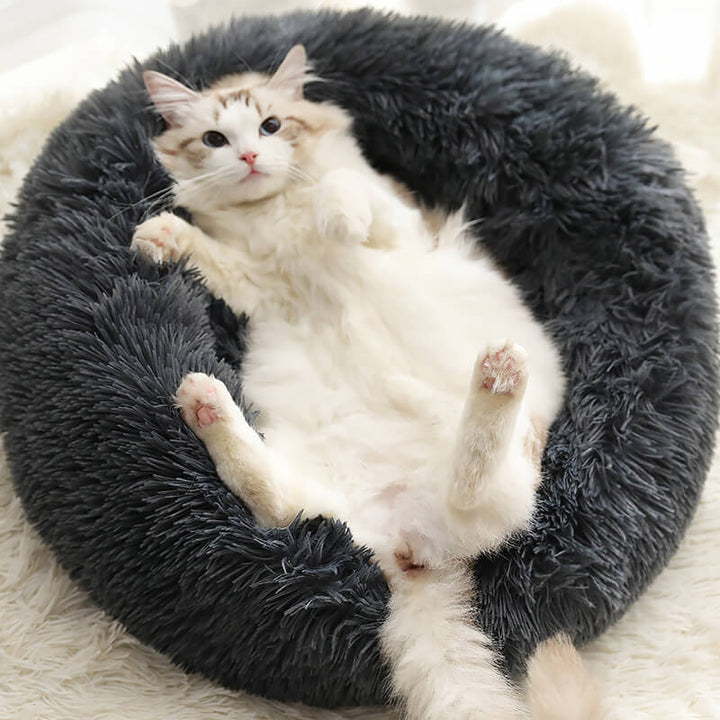 Calming Fluffy Cat Bed, Comfy Plush Pet Bed