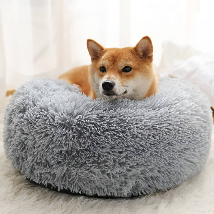 Calming Fluffy Cat Bed, Comfy Plush Pet Bed