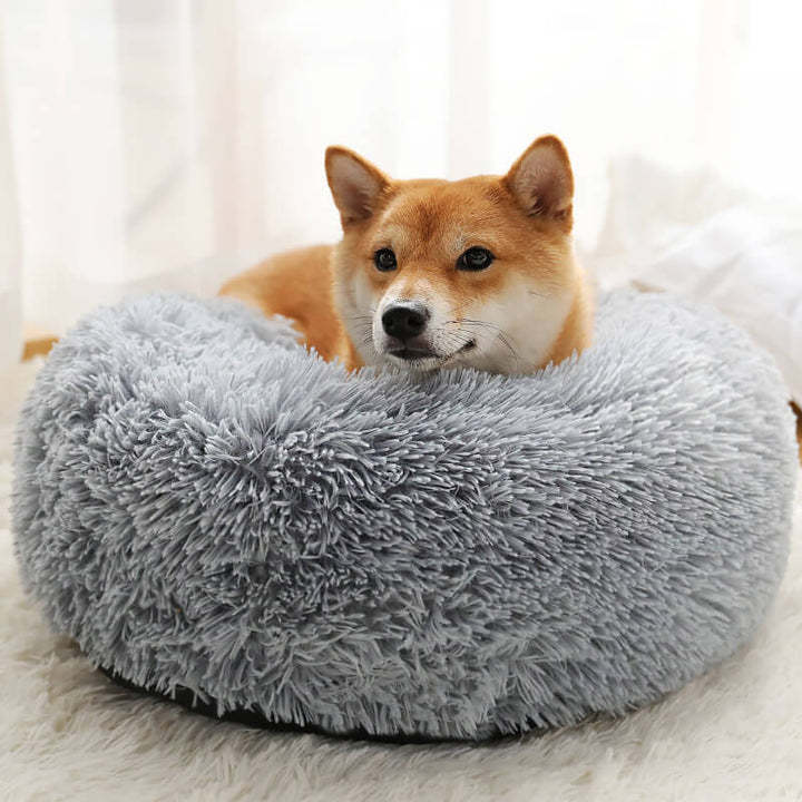 Calming Fluffy Cat Bed, Comfy Plush Pet Bed