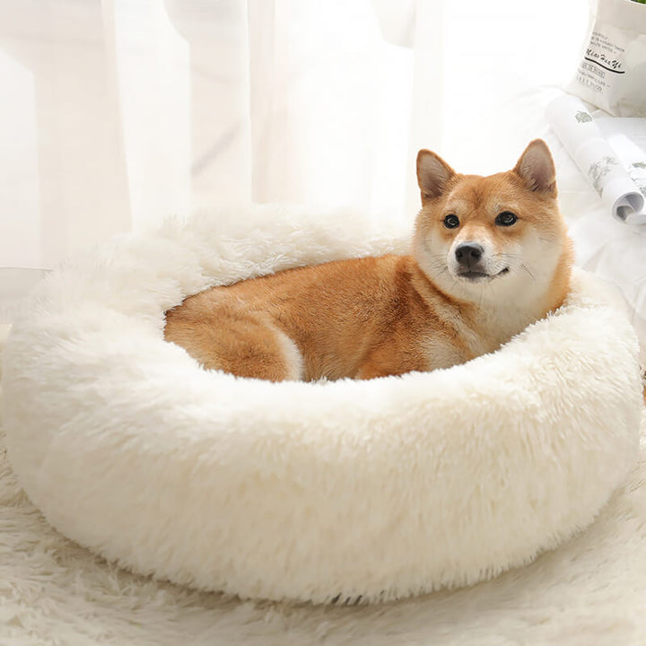 Calming Fluffy Cat Bed, Comfy Plush Pet Bed