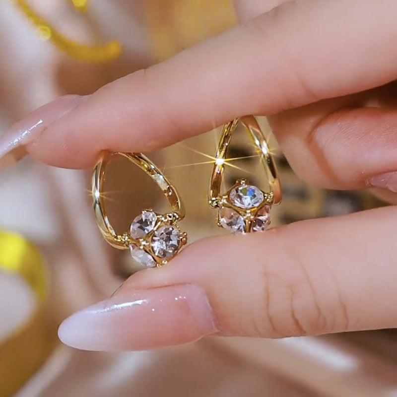 (🔥Výprodej na poslední den - 80% sleva)Histone Lymph Active Magnetic Therapy Germanium náušnice