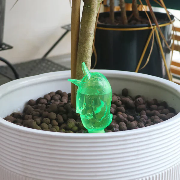 🐦Automatická konev pro ptáky