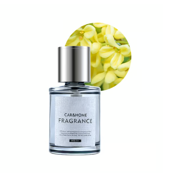 Inteligentní ultrazvukový osvěžovač vzduchu do auta se slevou 48 % (velký výprodej⛄) – 5stupňové nastavení a funkce automatického zapnutí/vypnutí