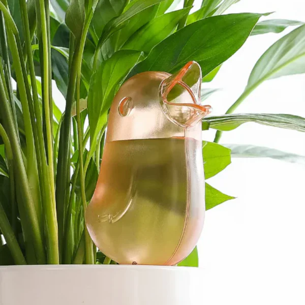 🐦Automatická konev pro ptáky