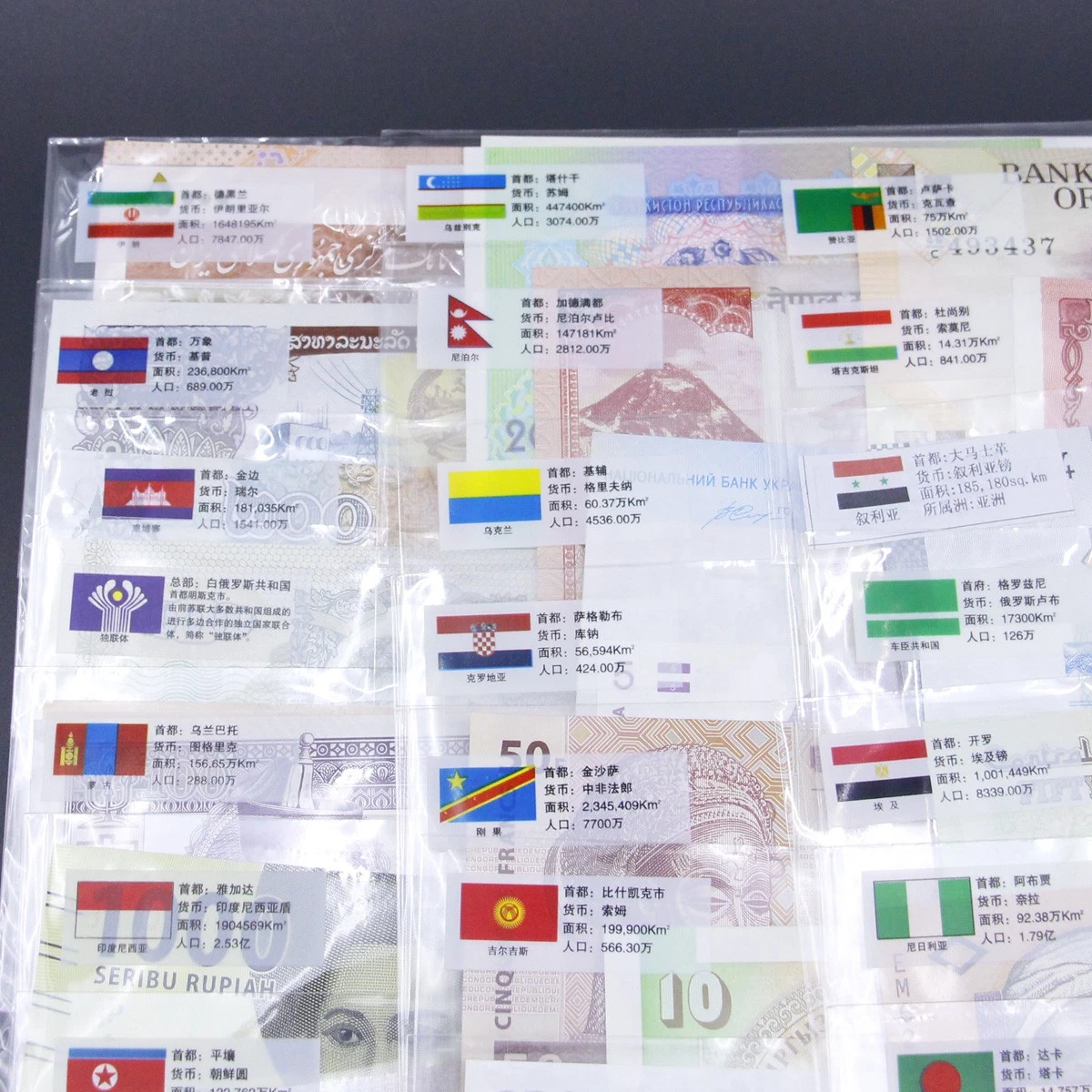 52 Pcs Different World Banknotes Paper Money Foreign UNC Study Collection Gift