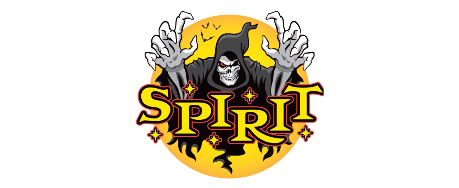 Spirit Logo Banner