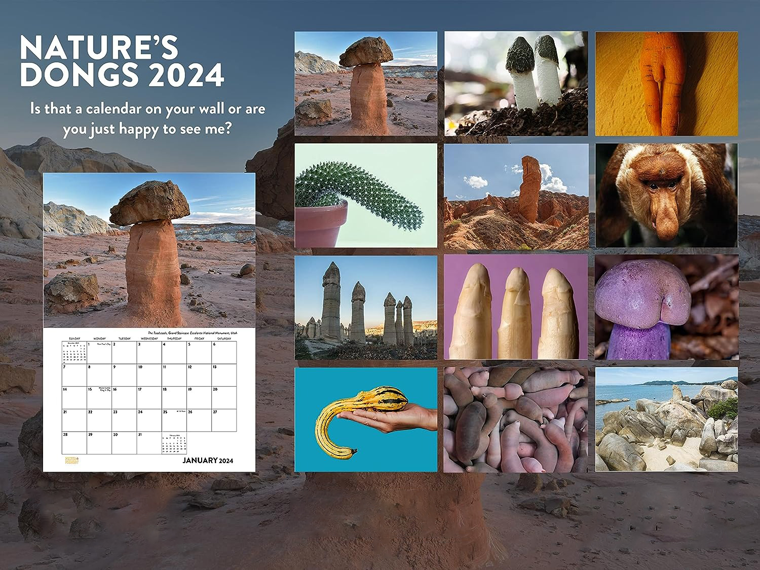 FUNNIEST CALENDAR OF THE CENTURY | 2024 NATURE FUNNY ADULT SHAPED PICS CALENDAR