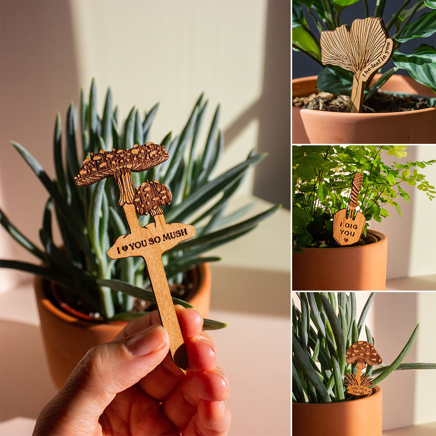 Handmade Encouraging Wood Plant Pick
