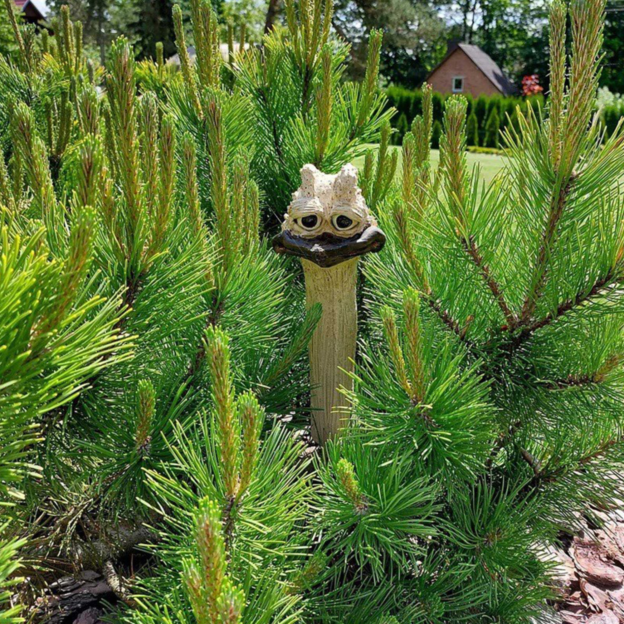 Long Neck Chicken Gardening Decoration