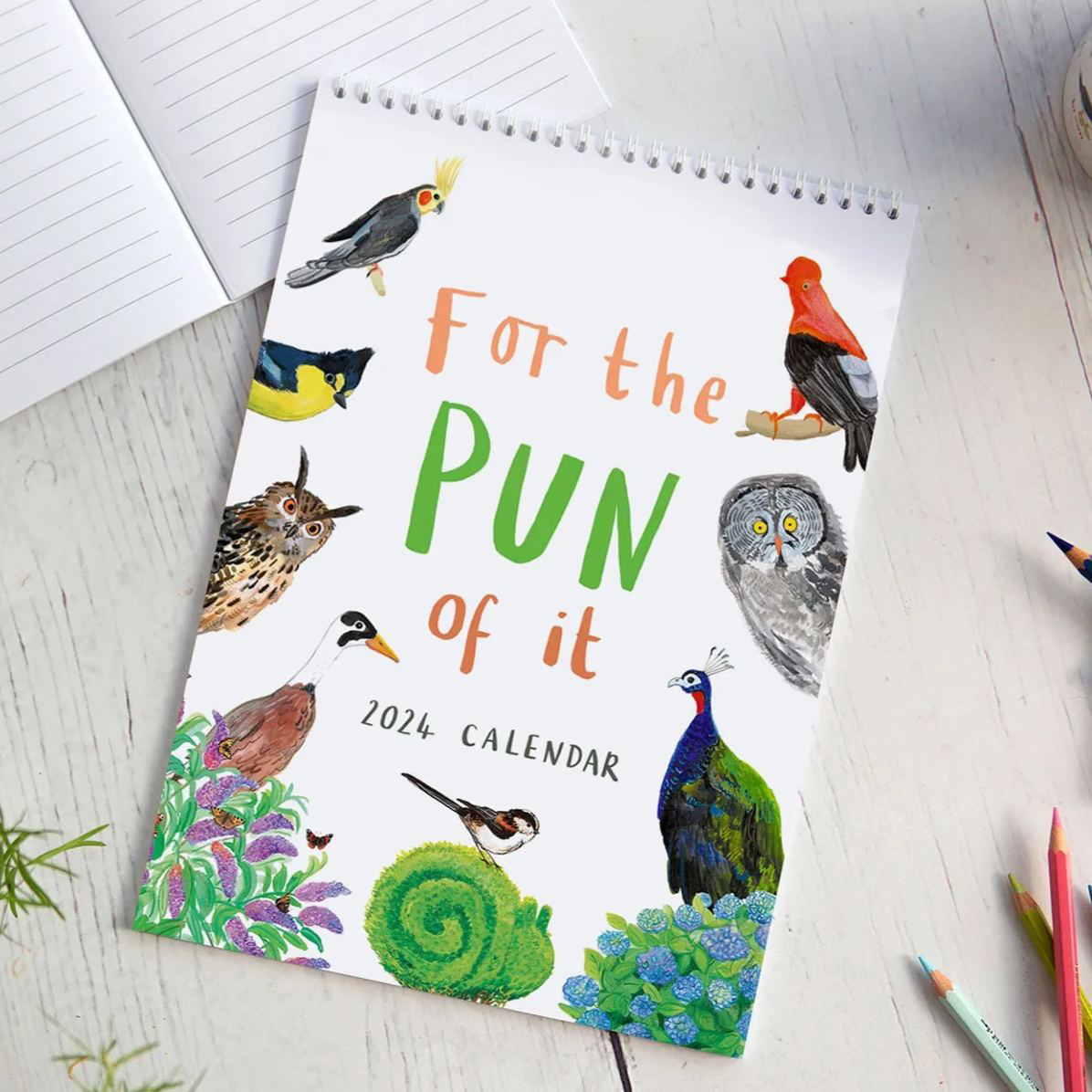 2024 'For The Pun Of It' Cheeky Double Page Wall Calendar