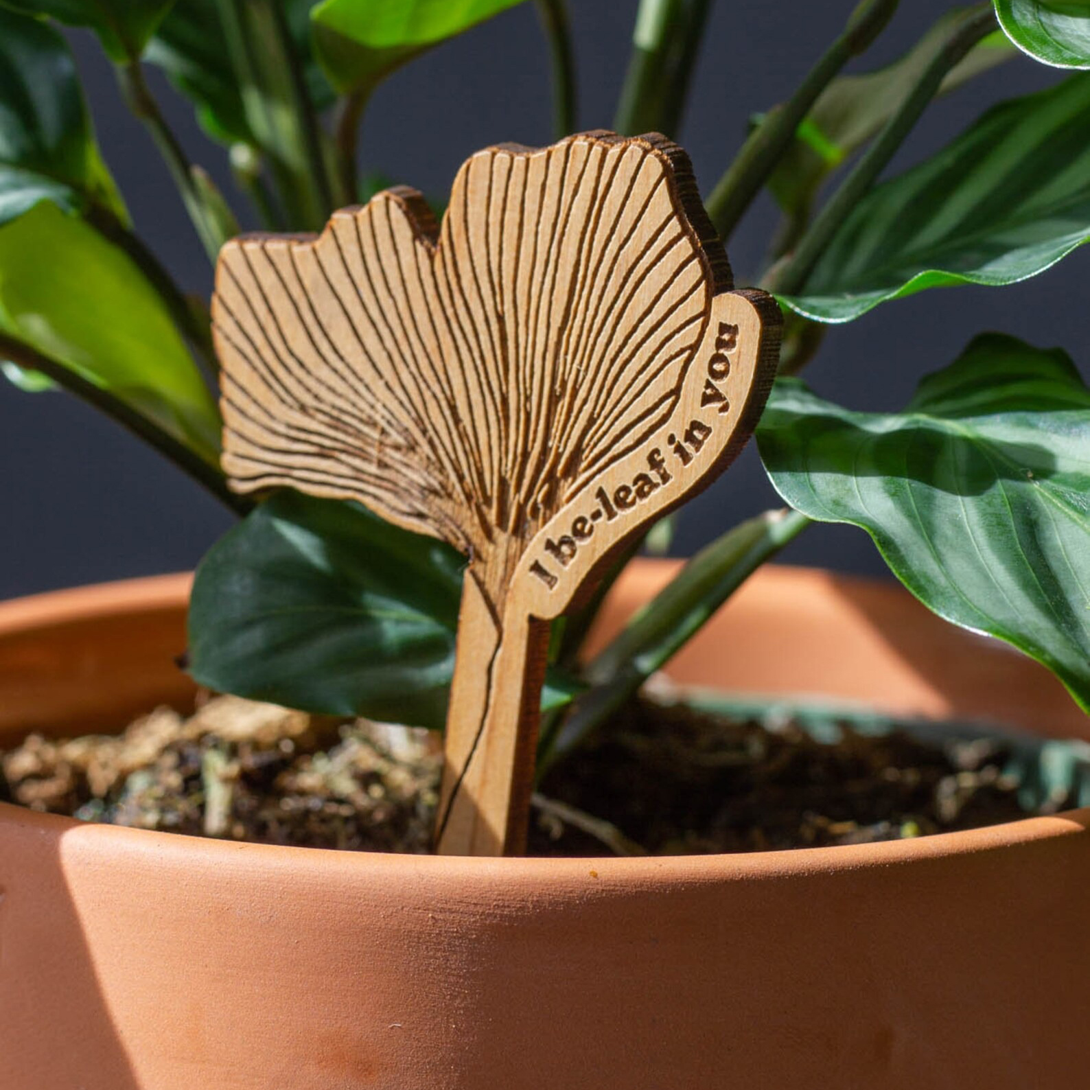 Handmade Encouraging Wood Plant Pick