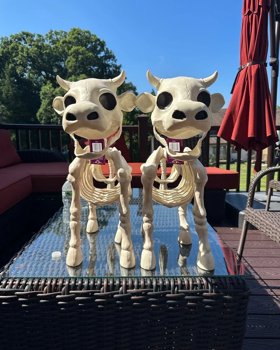 Halloween Skeleton Cow & Horse Decorative Prop