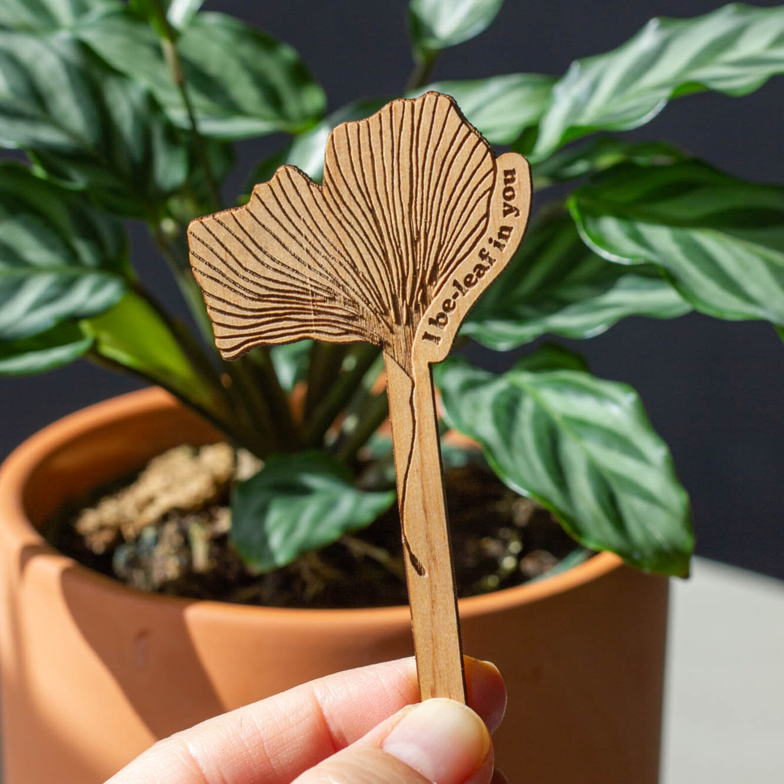Handmade Encouraging Wood Plant Pick