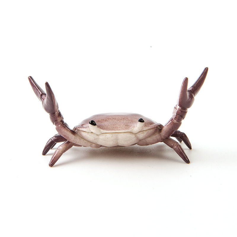 Stationery Crustaceans - Weight Lifting Small Crab Pen & Glasses Holder