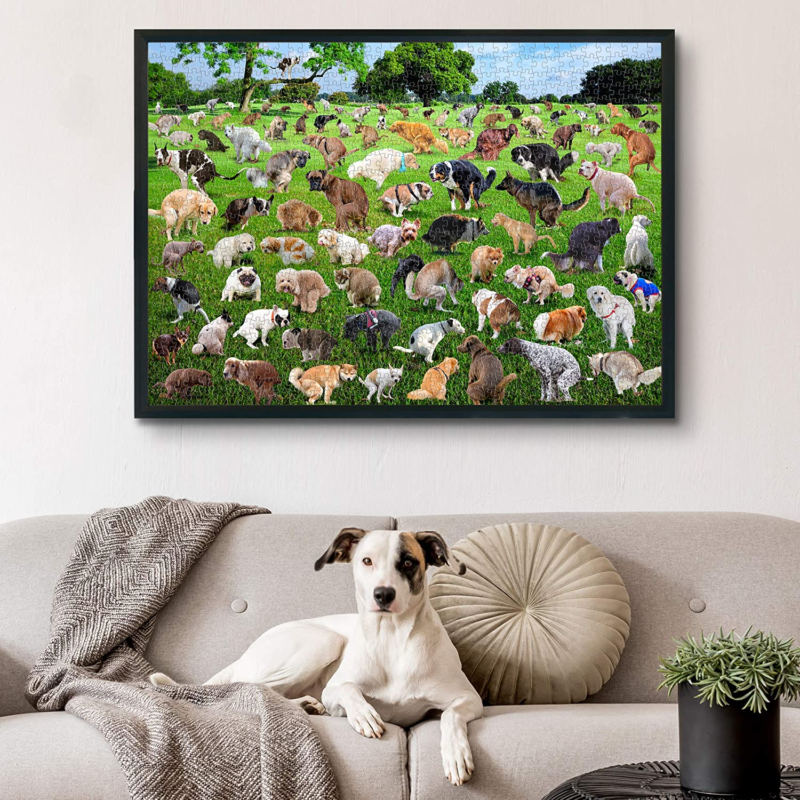 🐶101 Pooping Puppies Pooping Puzzle - Including 1000 Piece Puzzles