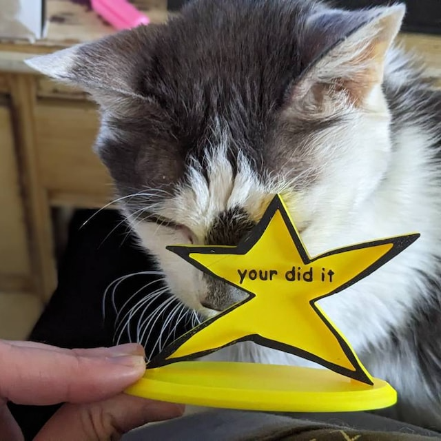 😃Your Did It Trophy🏆