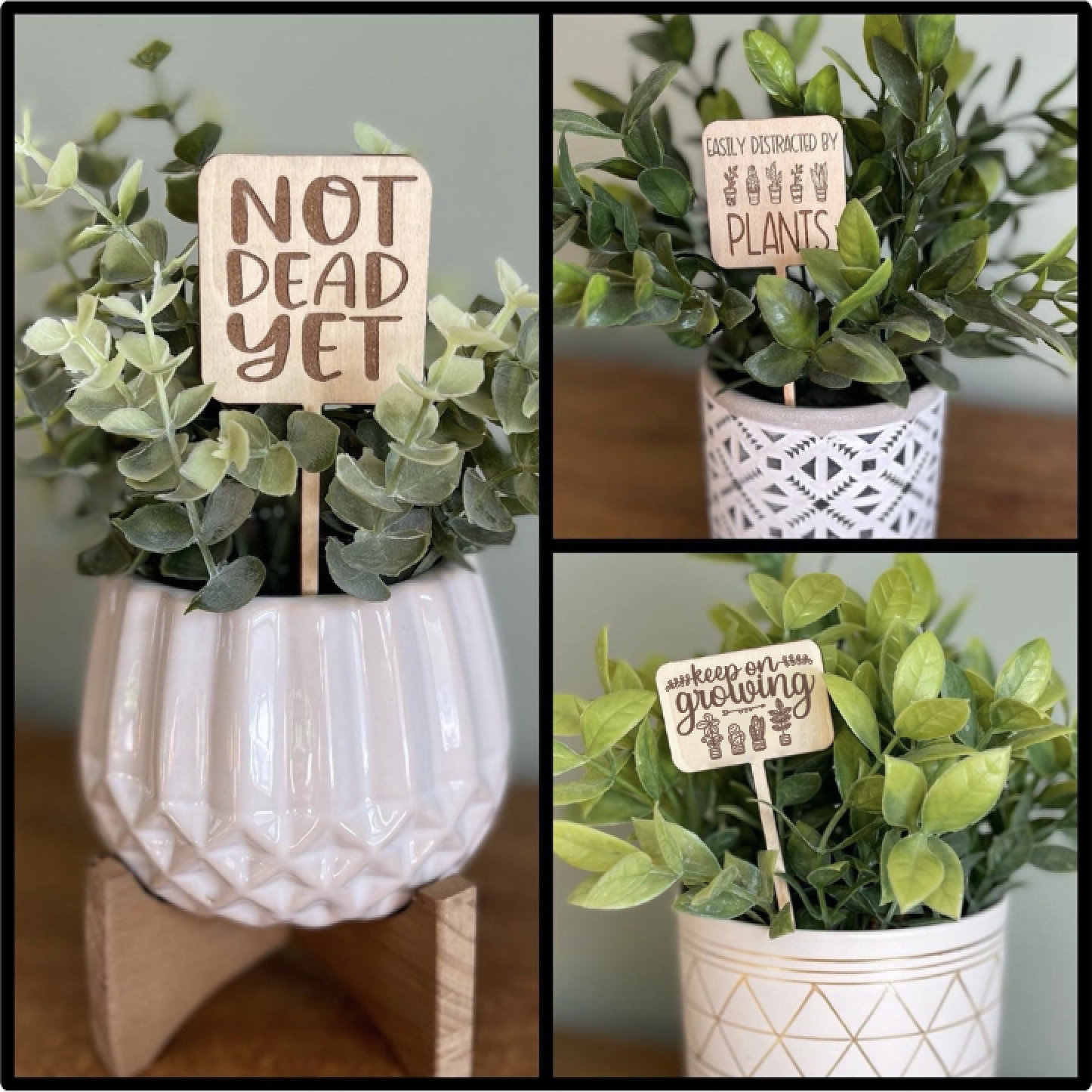 Funny Plant Markers