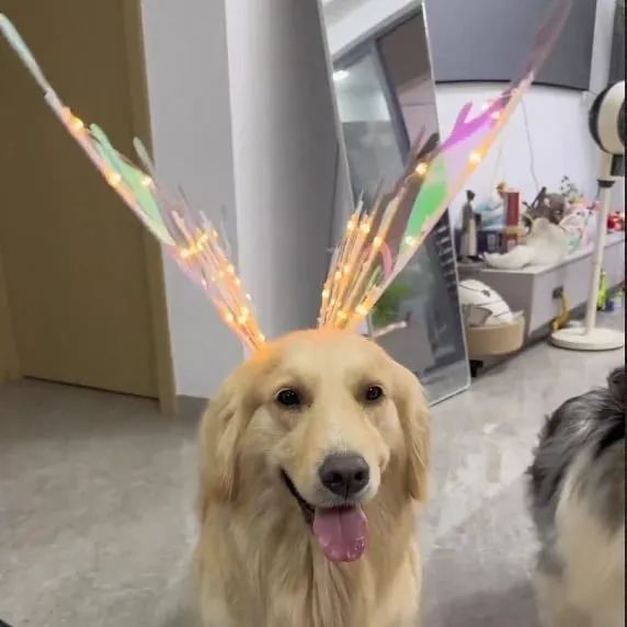 DIY Elf Angel Wings