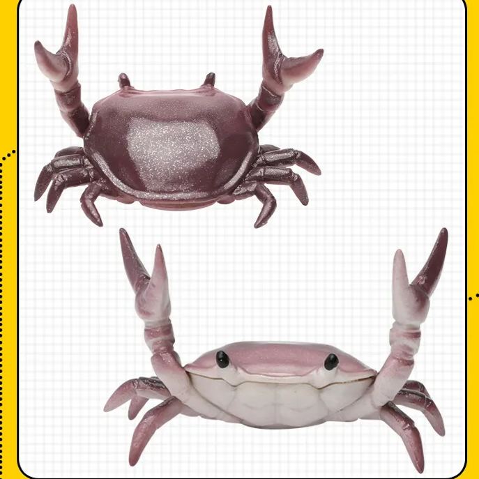 🦀Stationery Crustaceans - Weight Lifting Small Crab Pen & Glasses Holder