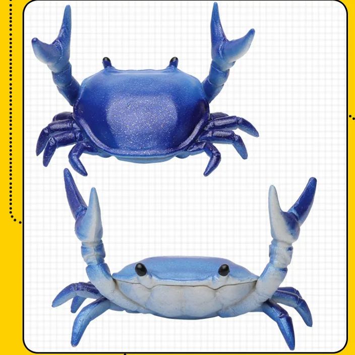 🦀Stationery Crustaceans - Weight Lifting Small Crab Pen & Glasses Holder